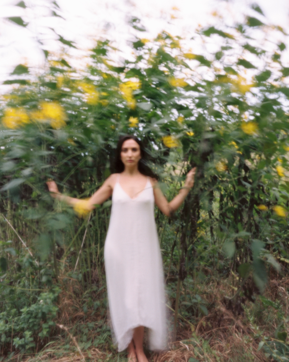 Anoush Anou and the Sunflowers